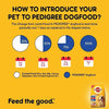 Pedigree Chicken & Liver Chunks in Gravy Pouch Adult Wet Food and Chicken & Vegetables Adult Dog Dry Food Combo