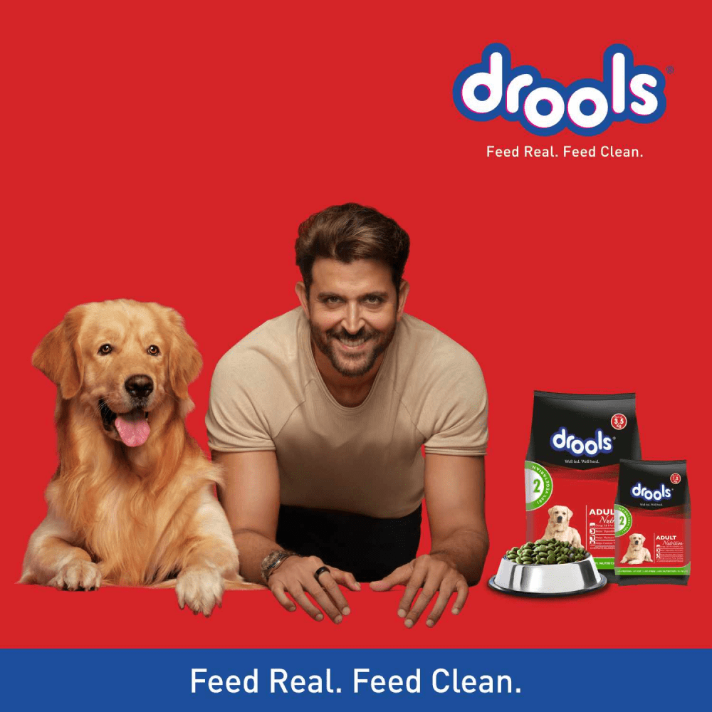 Drools 100% Vegetarian Adult Dog Dry Food