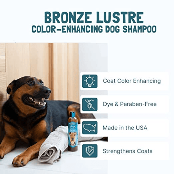 Bio Groom Bronze Lustre Color Enhancer Shampoo For Dogs