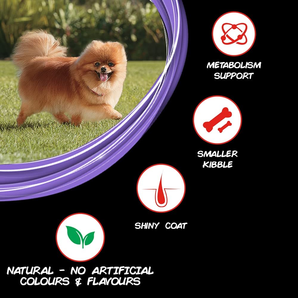 SuperCoat Chicken Adult Small Breed Dog Dry Food