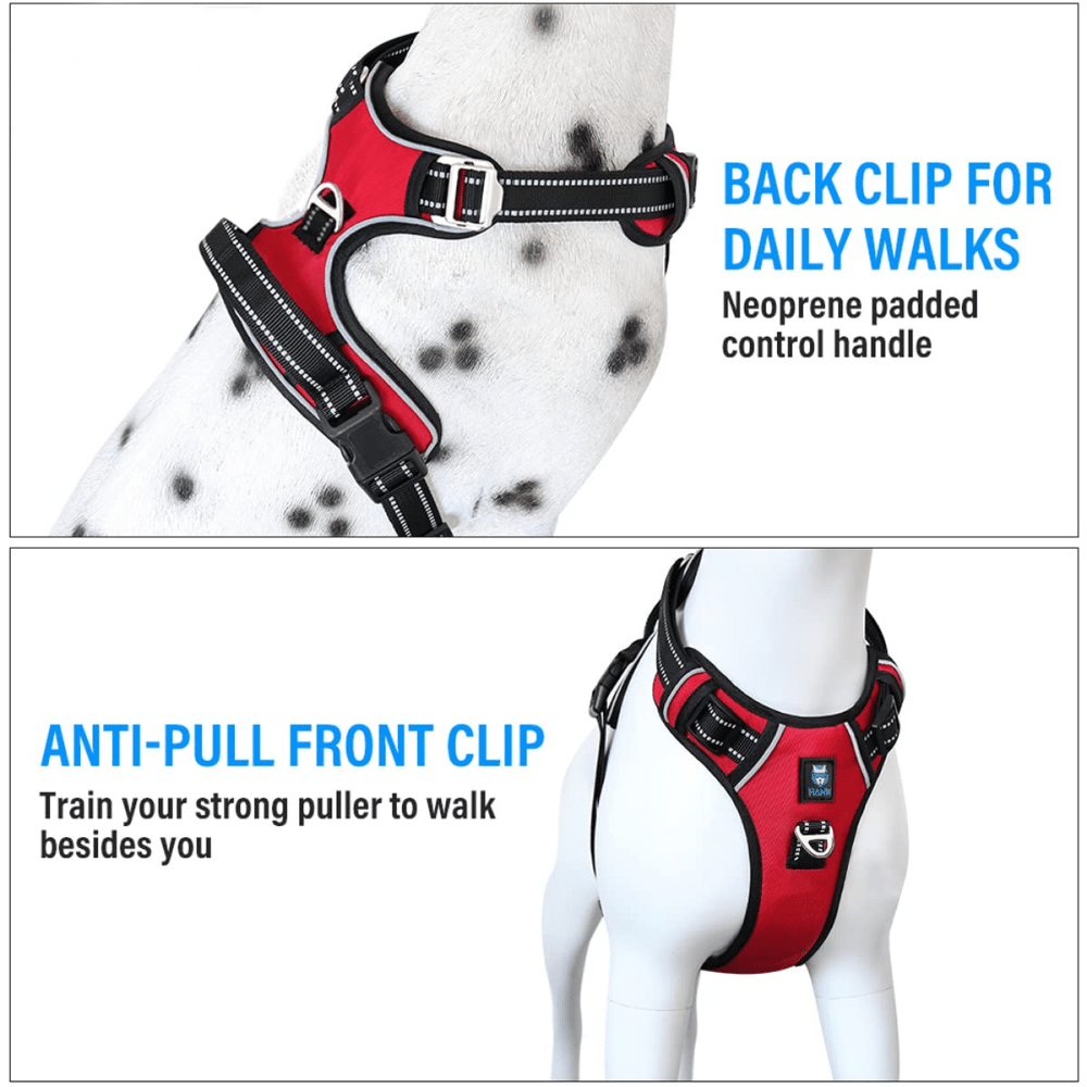 Buy Hank 3M Reflective Harness for Puller Dogs Red Online