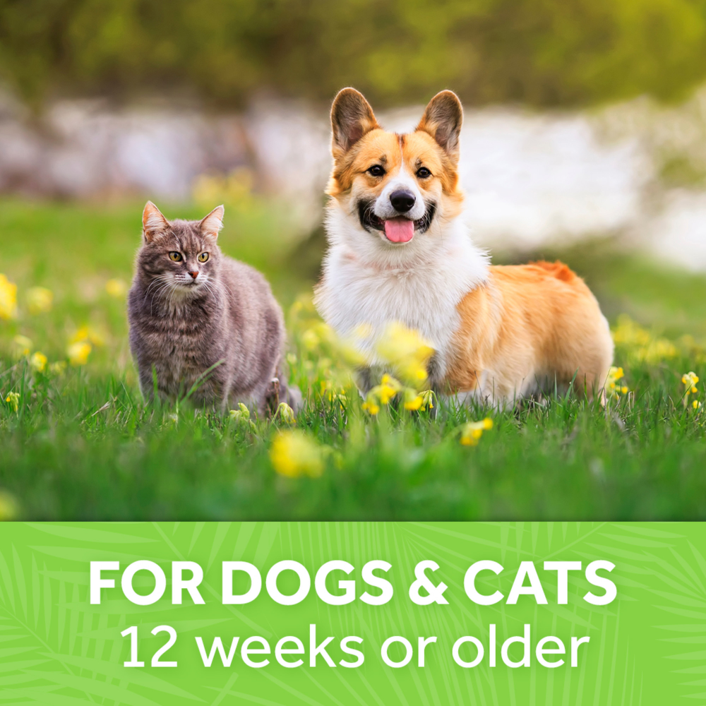 Tropiclean Papaya Mist Cologne Spray for Dogs and Cats Both-Grooming Supplies Tropiclean