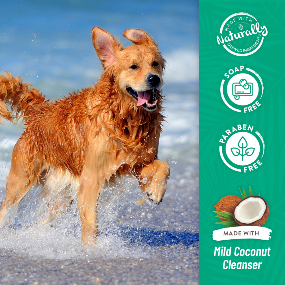 Tropiclean Papaya & Coconut 2 in 1 Shampoo & Conditioner for Dogs and Cats