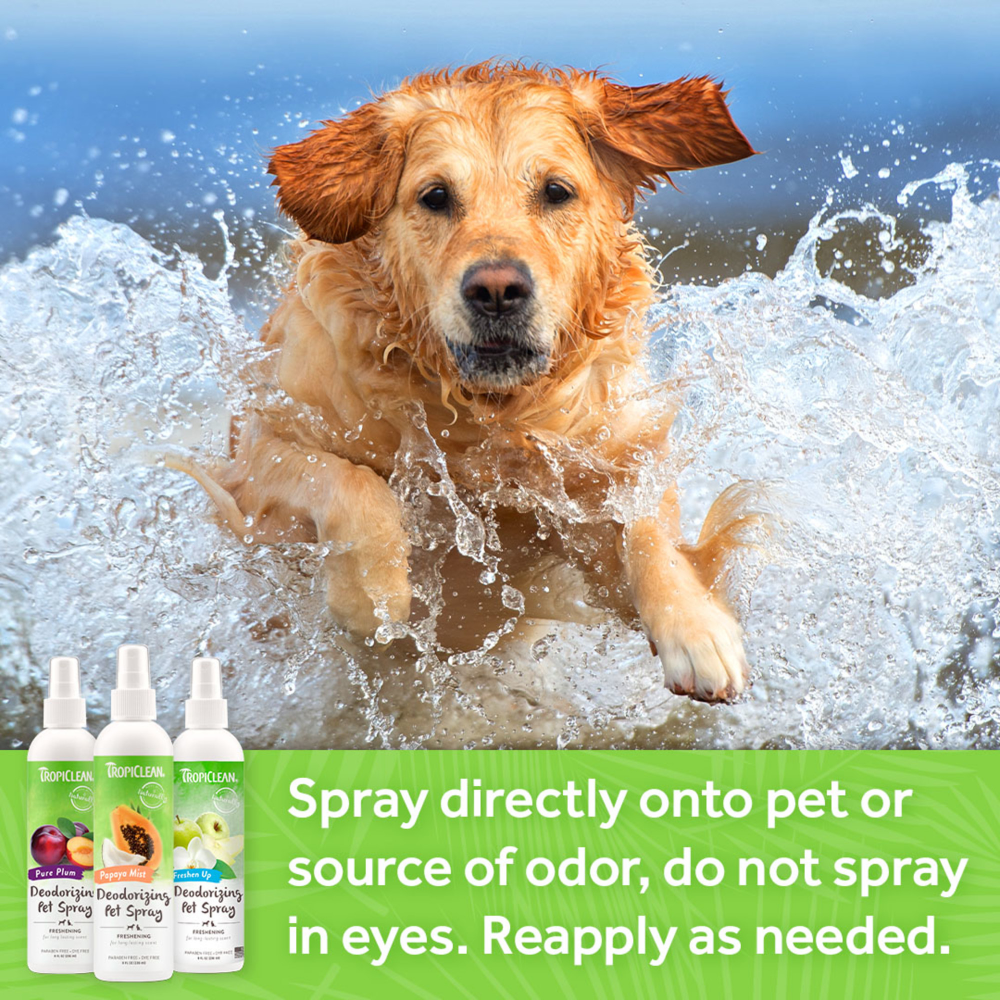 Tropiclean Pure Plum Deodorizing Spray for Dogs and Cats