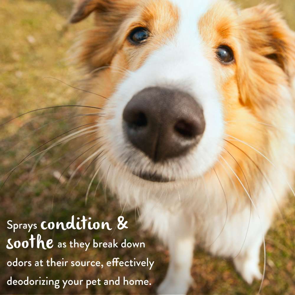 Tropiclean Papaya Mist Cologne Spray for Dogs and Cats Both-Grooming Supplies Tropiclean