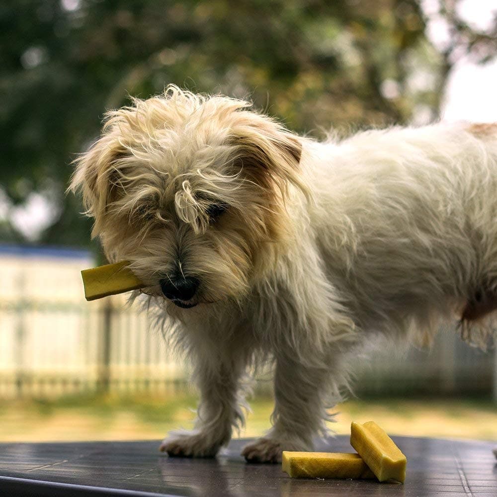 Dogsee Chew 100% Natural Yak Milk Bars Mini Breed Dog Treats