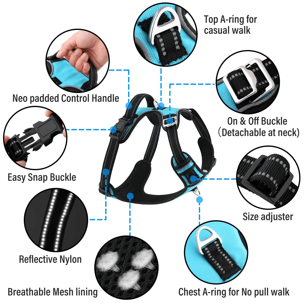 Hank 3M Reflective Harness for Puller Dogs (Cyan Blue)
