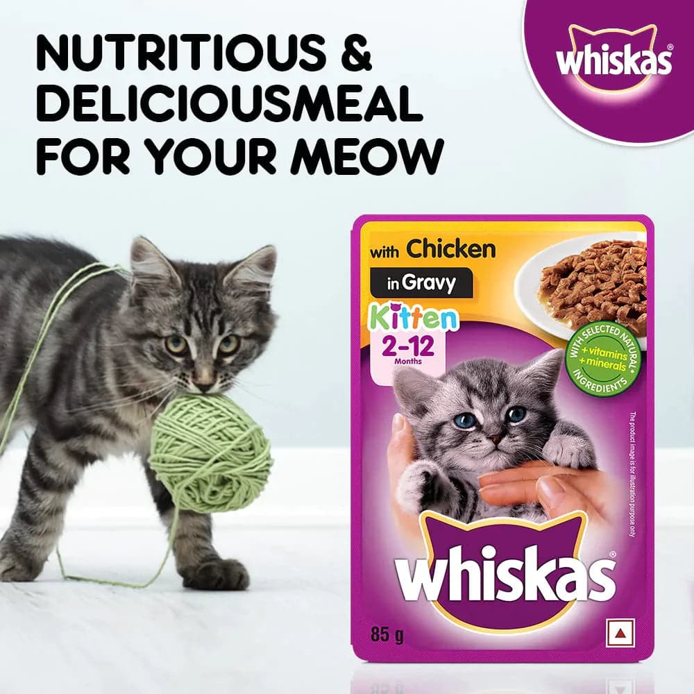 Whiskas Tuna in Jelly and Chicken in Gravy Meal Kitten Wet Food Combo (24+24)