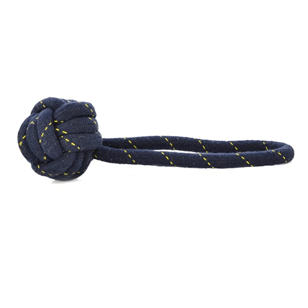 Kiki N Pooch Rope Handle Ball Toy for Dogs (Blue)