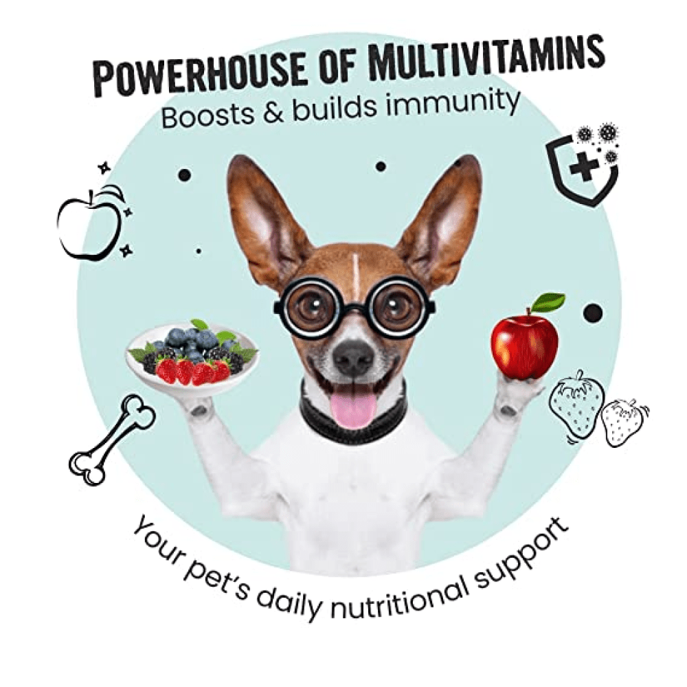 Healing Leaf Hemp Protein Powder and Bark Out Loud Immunity Multi Vitamin Chew Stix for Dogs and Cats Combo Exclusive Combo Exclusive Combo
