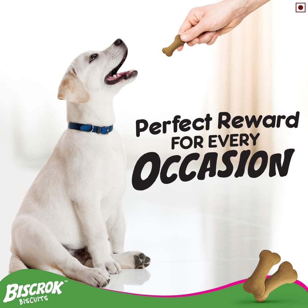 Pedigree Milk and Chicken Flavour Biscrok Biscuits Dog Treats (500g)