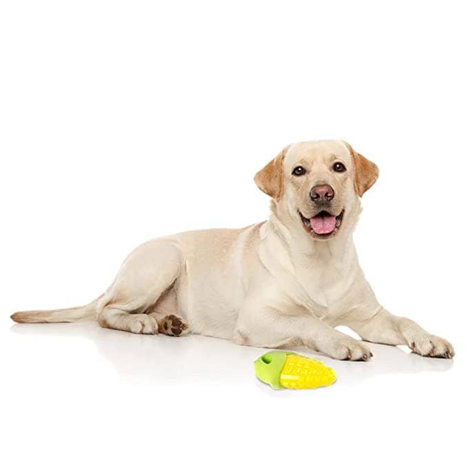 Barkbutler Fofos Vegi-Bites Corn Squeaky Toy for Dogs