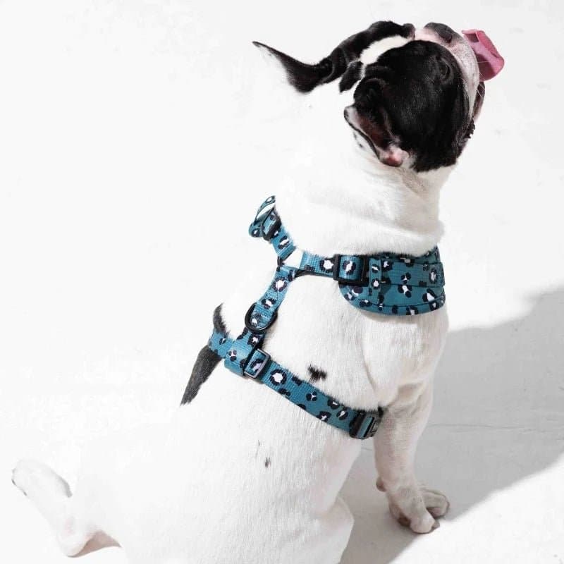 Furry & Co Wild One No Pull Harness for Dogs
