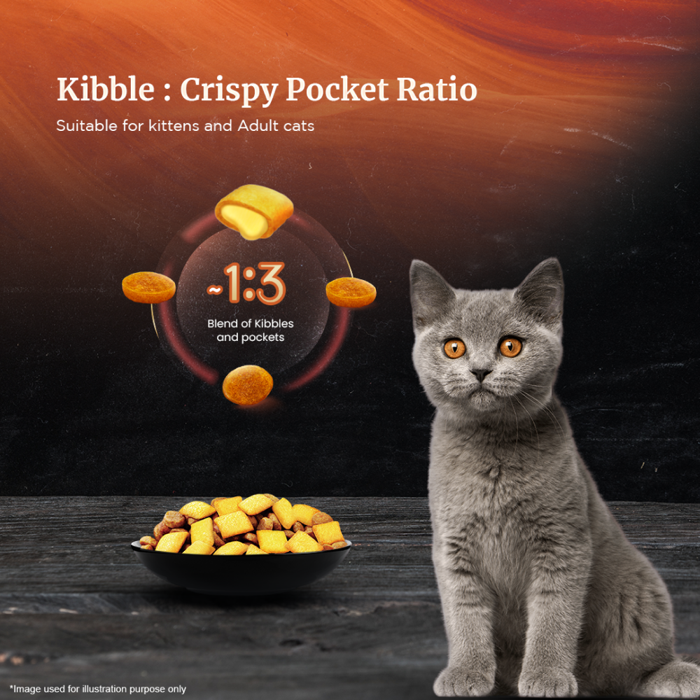 Sheba Chicken Flavour Irresistible All Life Stage Cat Dry Food