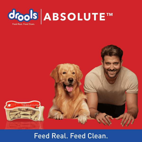 Drools Focus Super Puppy and Absolute Calcium Bone Jar Dog Dry Food Combo