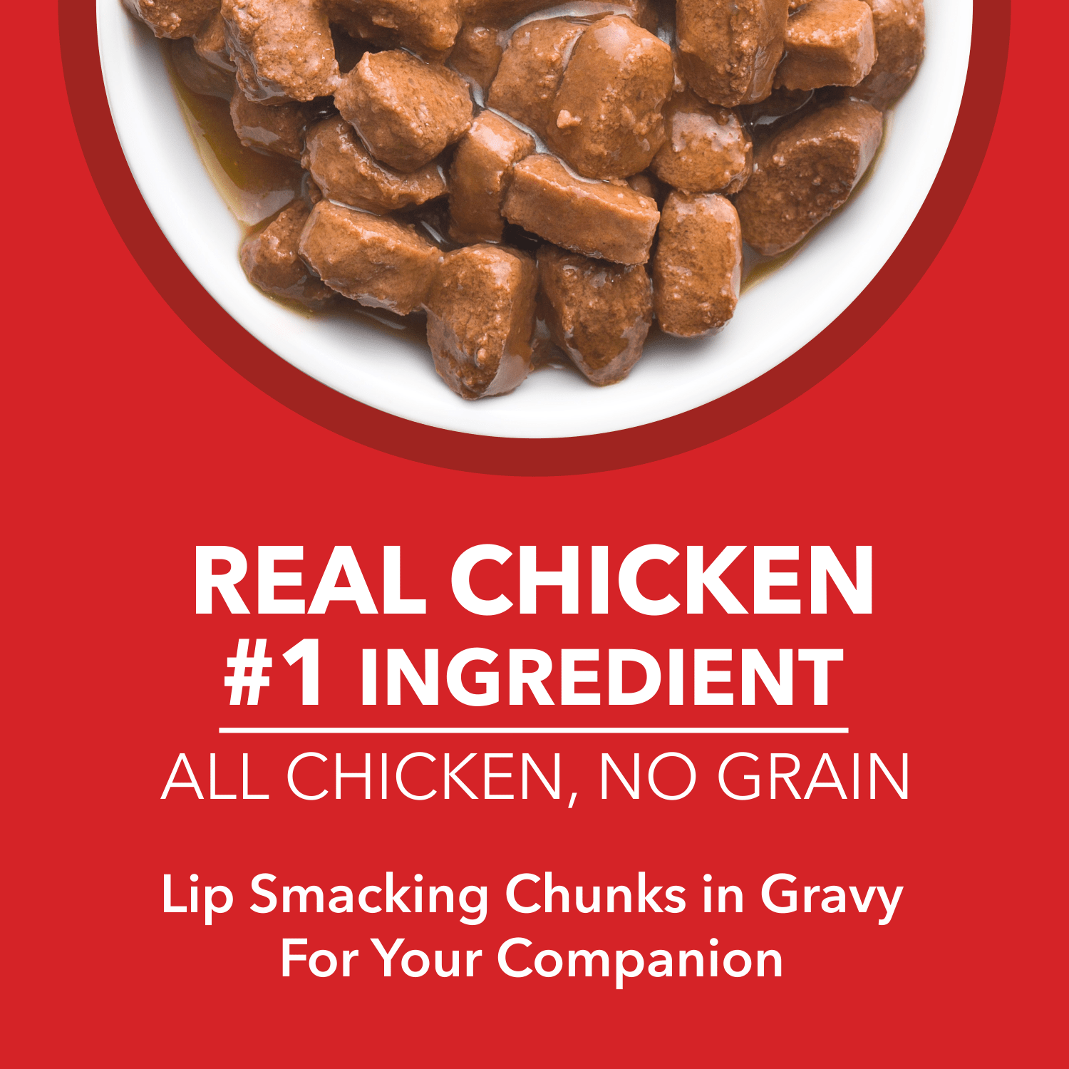Drools Real Chicken & Chicken Liver Chunks in Gravy Puppy Dog Wet Food