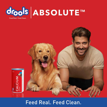 Drools Absolute Calcium Oil Syrup Supplement for Dogs and Cats