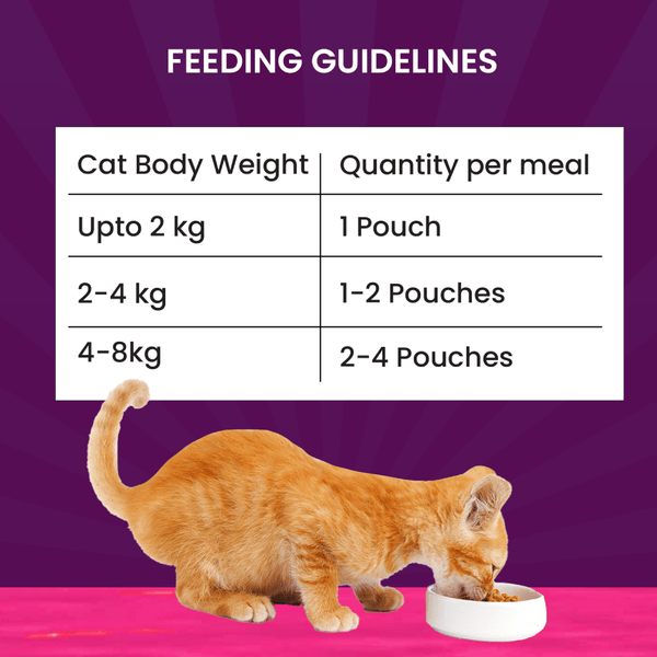 Goofy Tails Tuna and Anchovies Cat Wet Food