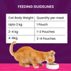 Goofy Tails Tuna and Anchovies Cat Wet Food