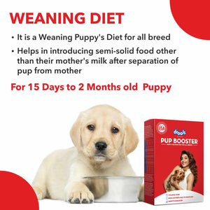 Drools Pup Booster Puppy Weaning Diet for All Breeds