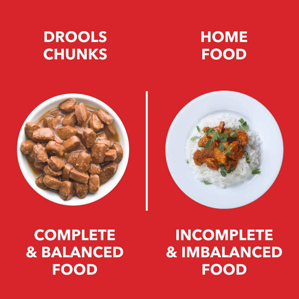 Drools Focus Super Premium Puppy Dry Food and Real Chicken & Chicken Liver Chunks in Gravy Puppy Wet Food Combo