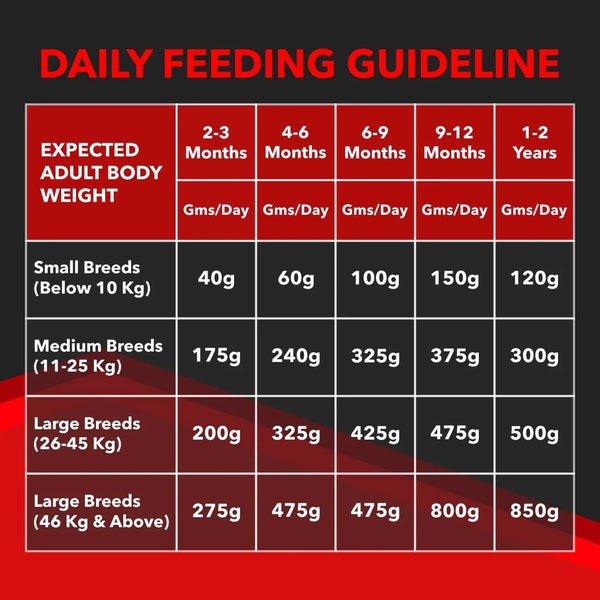 Drools Focus Super Premium Puppy Dry Food and Real Chicken & Chicken Liver Chunks in Gravy Puppy Wet Food Combo