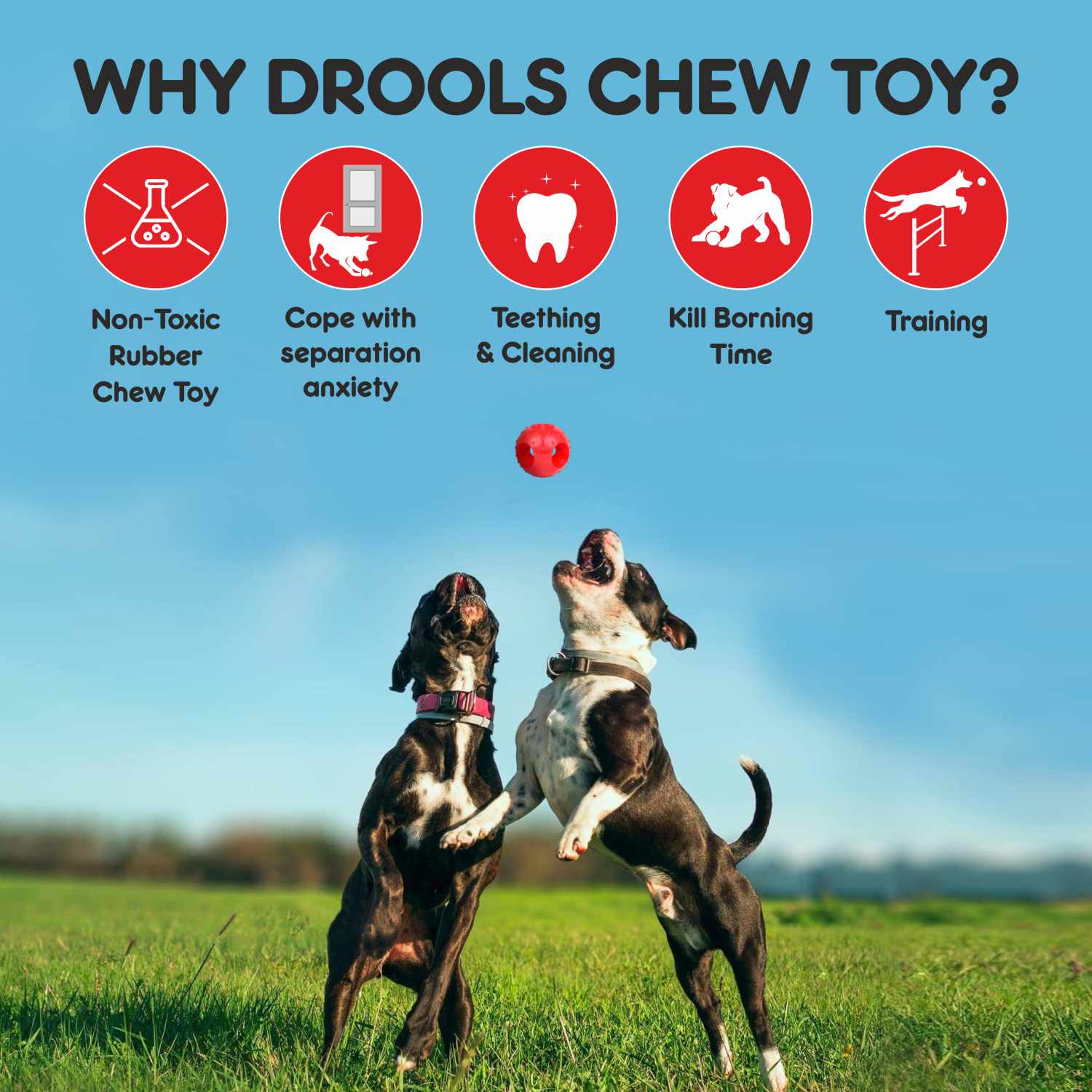 Drools Non Toxic Rubber Hole Ball Teething Toy for Puppies and Dogs | For Aggressive Chewers