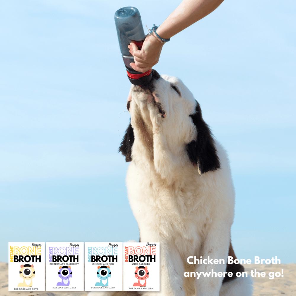 Doggos Instant Chicken and Carrots Bone Broth Gut and Vision Formula (Makes 100ml) for Cats and Dogs Dog Treats + Others Doggos