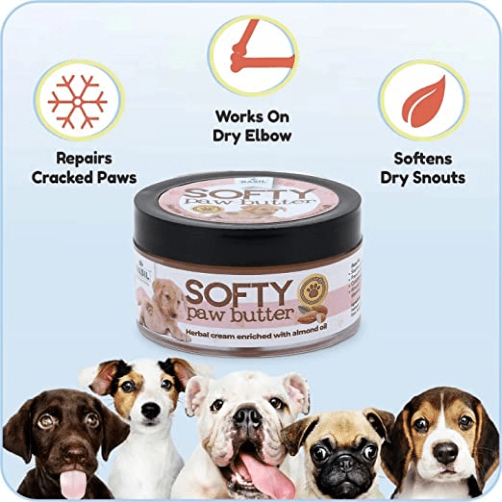 Basil Almond Softy Paw Butter for Dogs