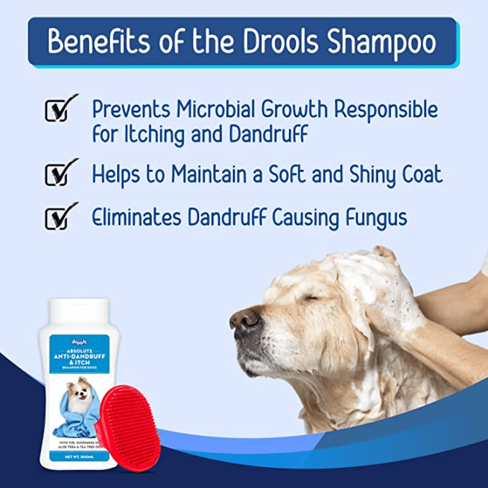 Drools Anti Dandruff and Itch Shampoo for Dogs