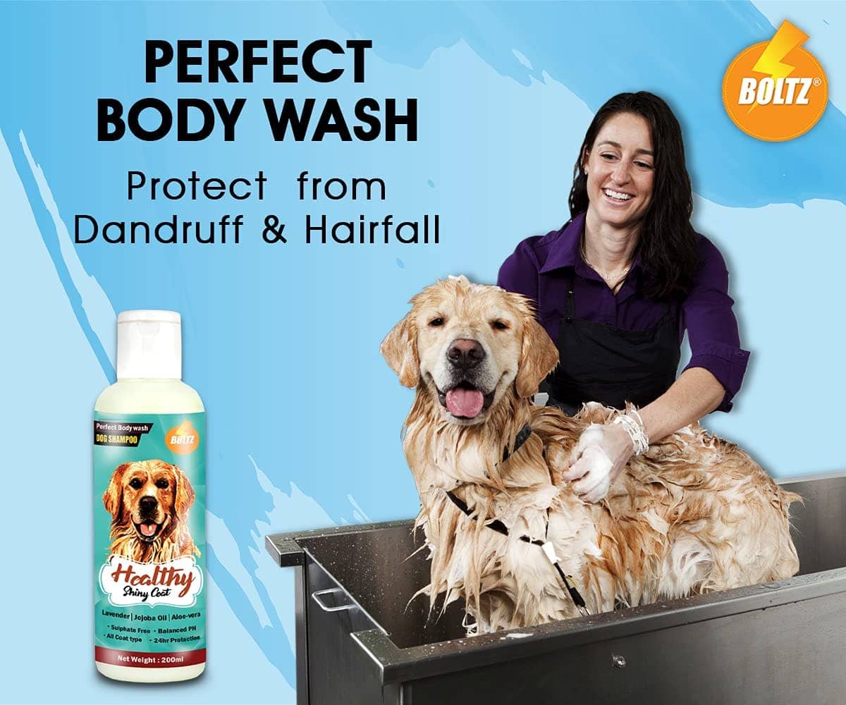 Boltz Shampoo for Dogs