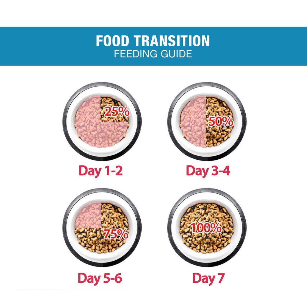 Me O Ocean Fish Kitten Cat Dry Food Cats- Dry food Me O