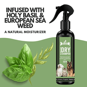 DOGZ & DUDEZ Dry Shampoo for Dogs and Cats