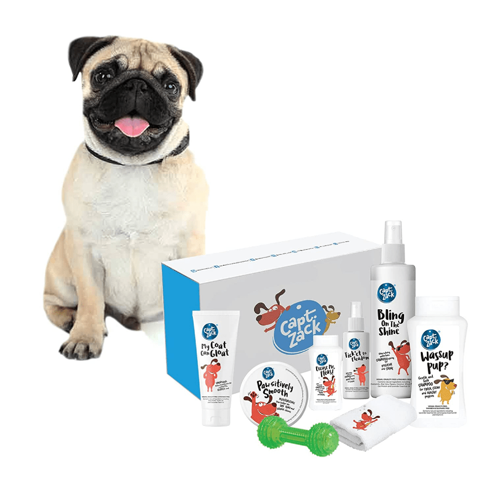 Captain Zack The Pug Groom Box for Dogs
