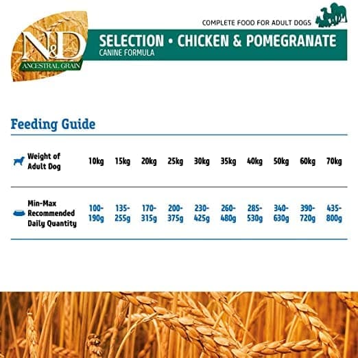 Farmina N&D Chicken & Pomegranate Ancestral Grain Selection Adult Medium Maxi Dog Dry Food