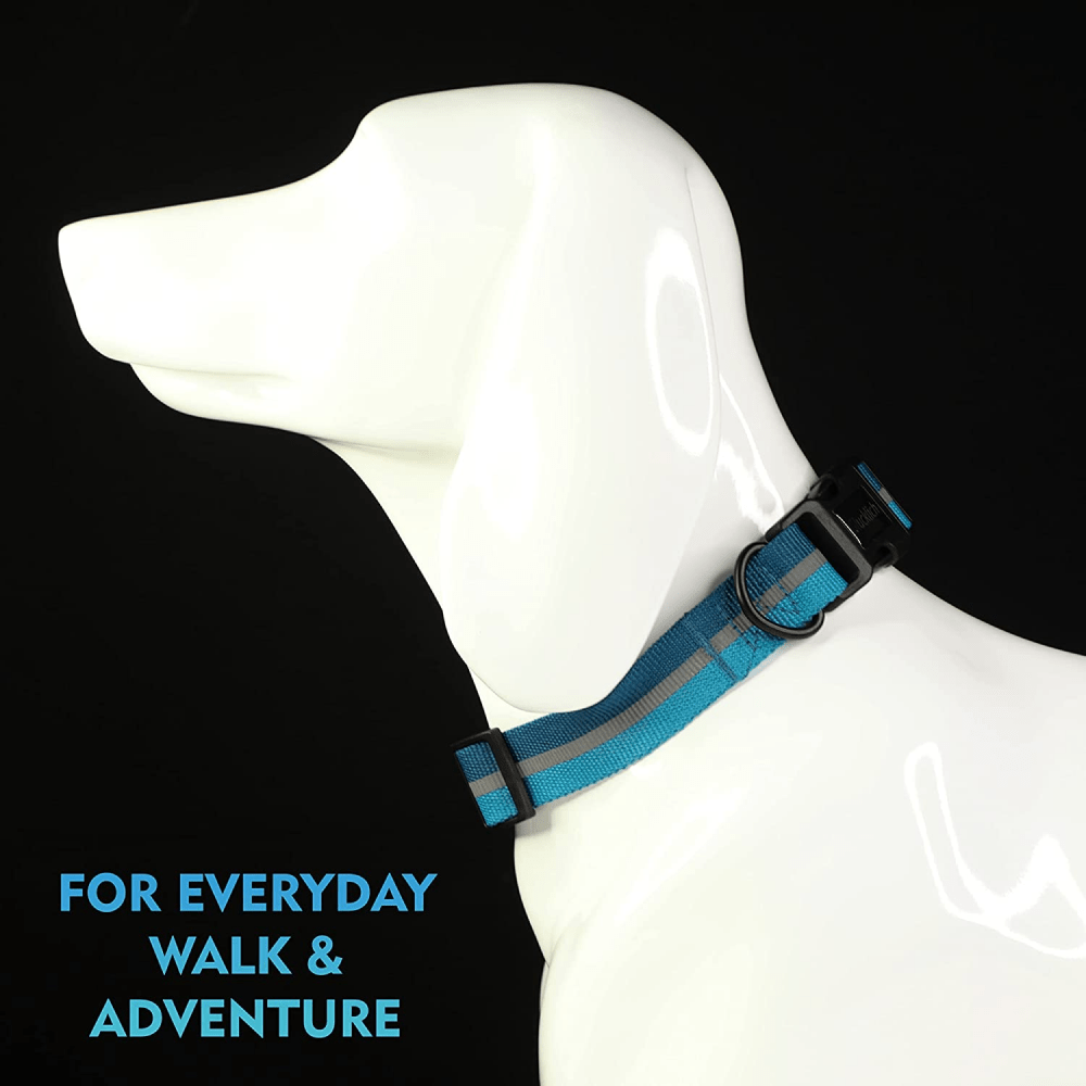 Glucklich Everyday Reflective Collar for Dogs (Sea Green)
