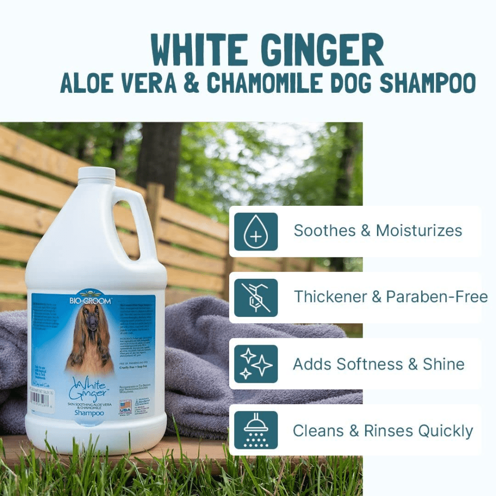 Bio Groom White Ginger Natural Scent Shampoo for Dogs and Cats