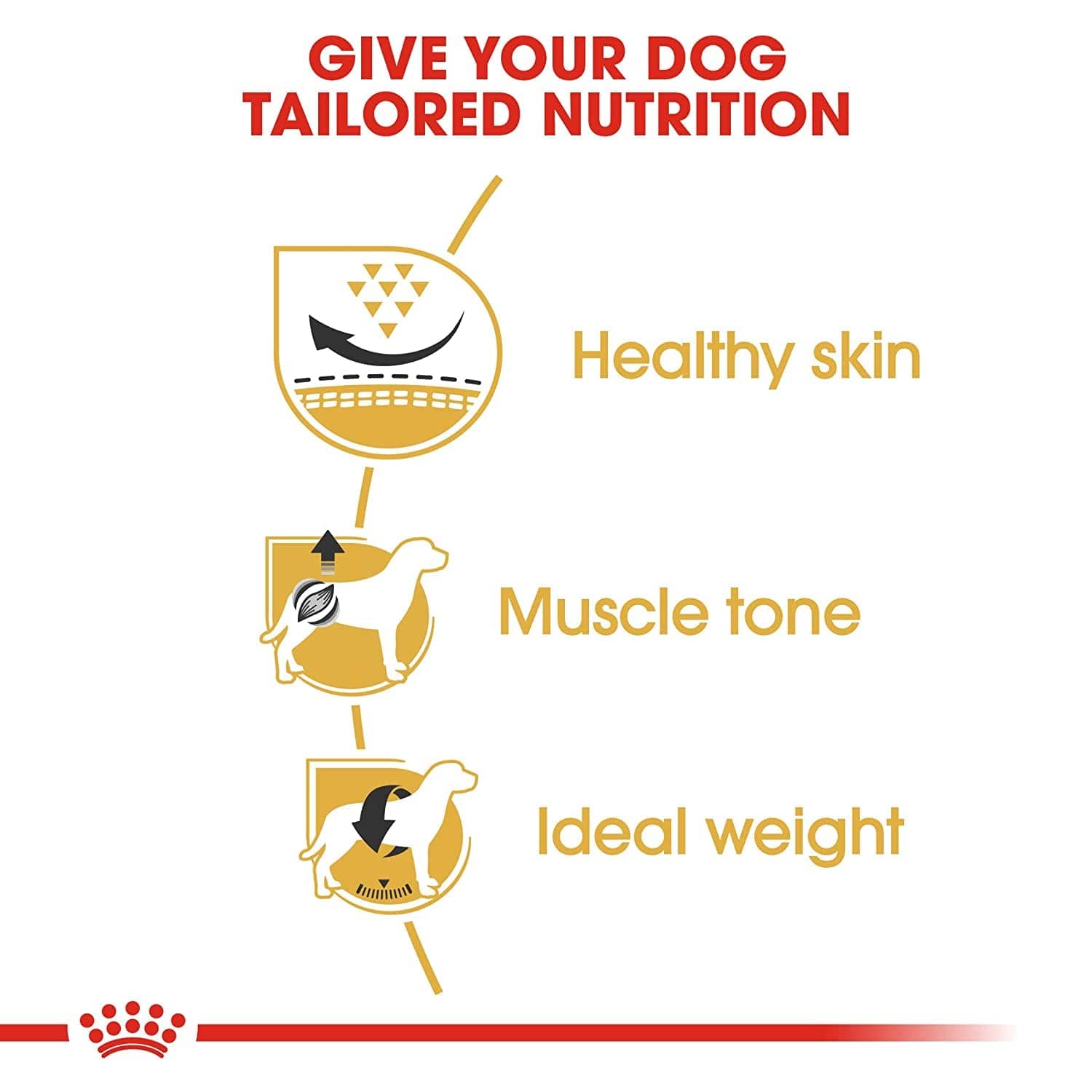 Royal Canin Pug Adult Dog Dry Food (Limited Shelf Life) Dogs- Dry Food Royal Canin