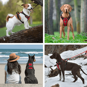 Hank 3M Reflective Harness for Puller Dogs (Red)