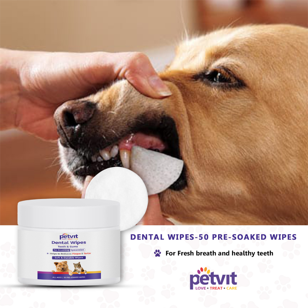 Petvit Dental Wipes for Dogs and Cats