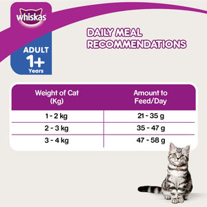 Whiskas Skin & Coat Chicken & Salmon Adult (1+ Years) Cat Dry Food