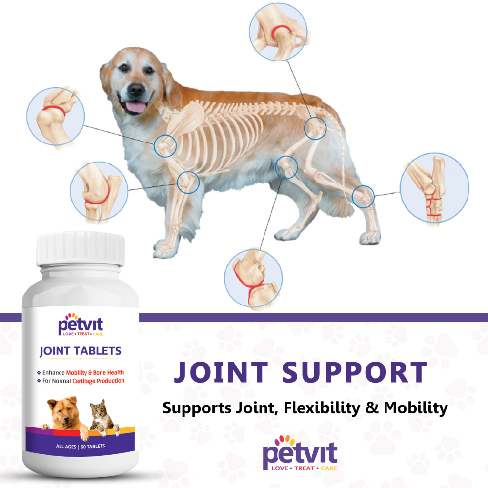 Joint tablets top for dogs
