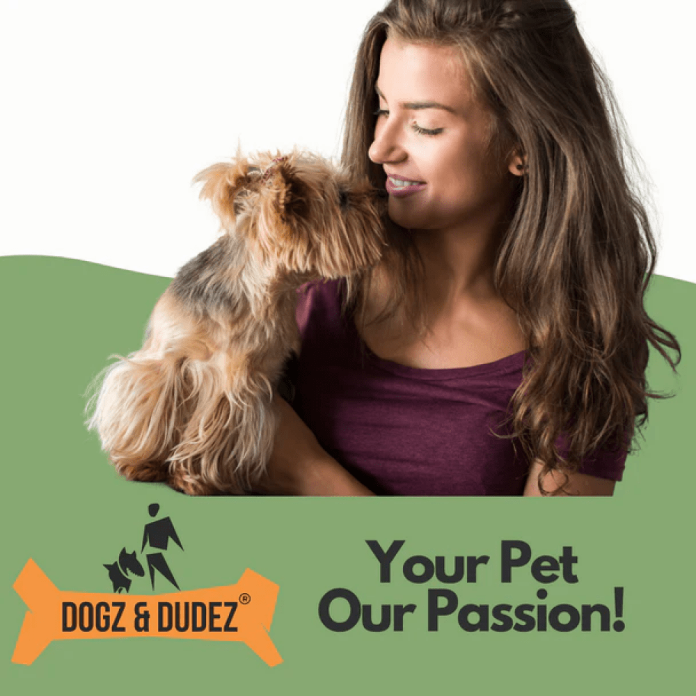 DOGZ & DUDEZ Dry Shampoo for Dogs and Cats
