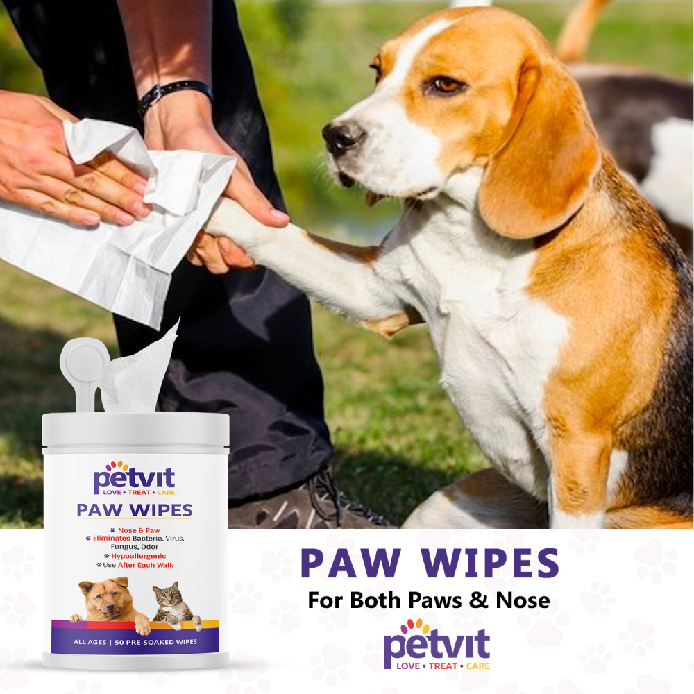 Paw wipes for 2024 allergies