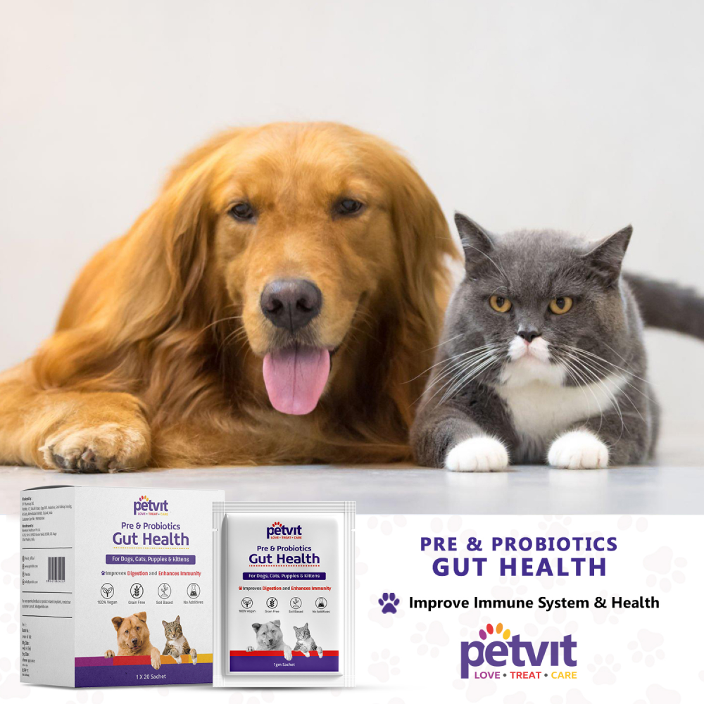 Petvit Pre & Probiotics Gut Health Powder for Dogs and Cats