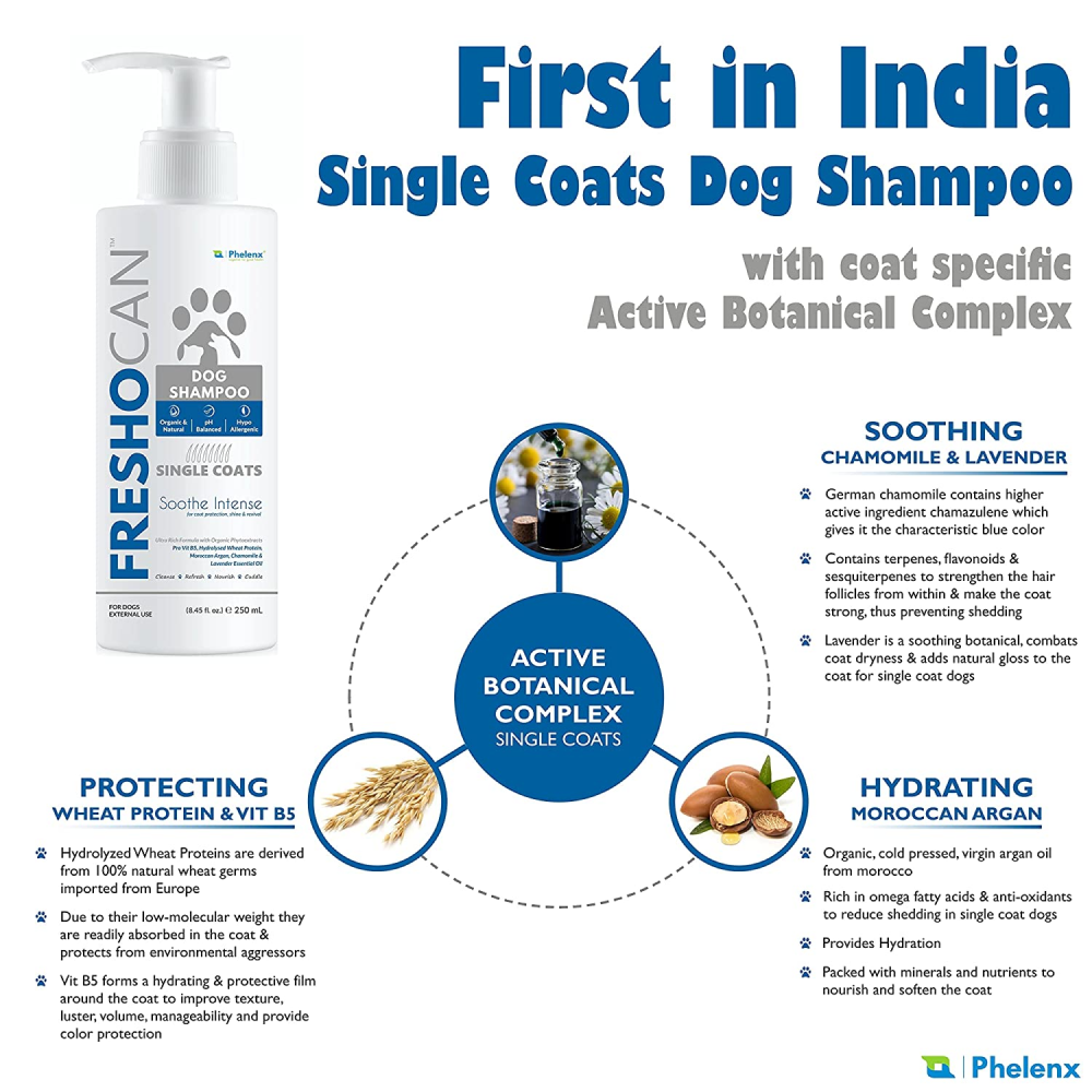 Phelenx Freshocan Single Coat Shampoo for Dogs