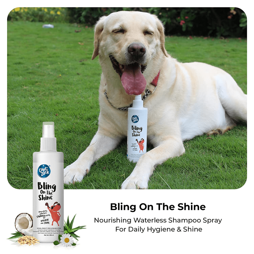Captain Zack Bling on the Shine Waterless Shampoo for Dogs and Cats