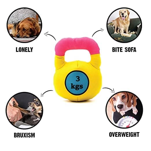 Goofy Tails Gym Series Kettlebell Plush Toy for Dogs | For Soft Chewers