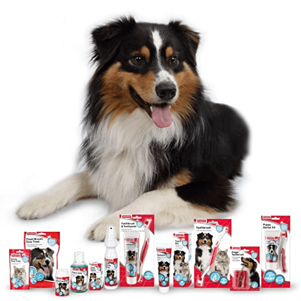 Beaphar Plague Mouth Wash for Dogs and Cats