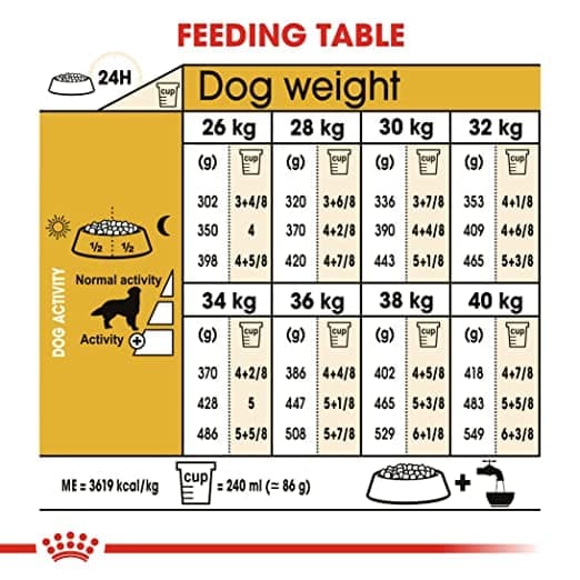 Royal Canin Golden Retriever Adult Dog Dry Food (Limited Shelf Life) Dogs- Dry Food Royal Canin